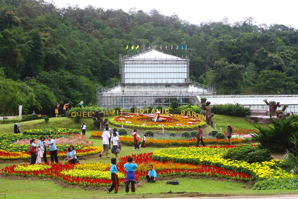 เชิญร่วมงาน Botanic Festival 2014 “คุยโม้โอ้อวด พฤกษ์พรรณ หรรษา”