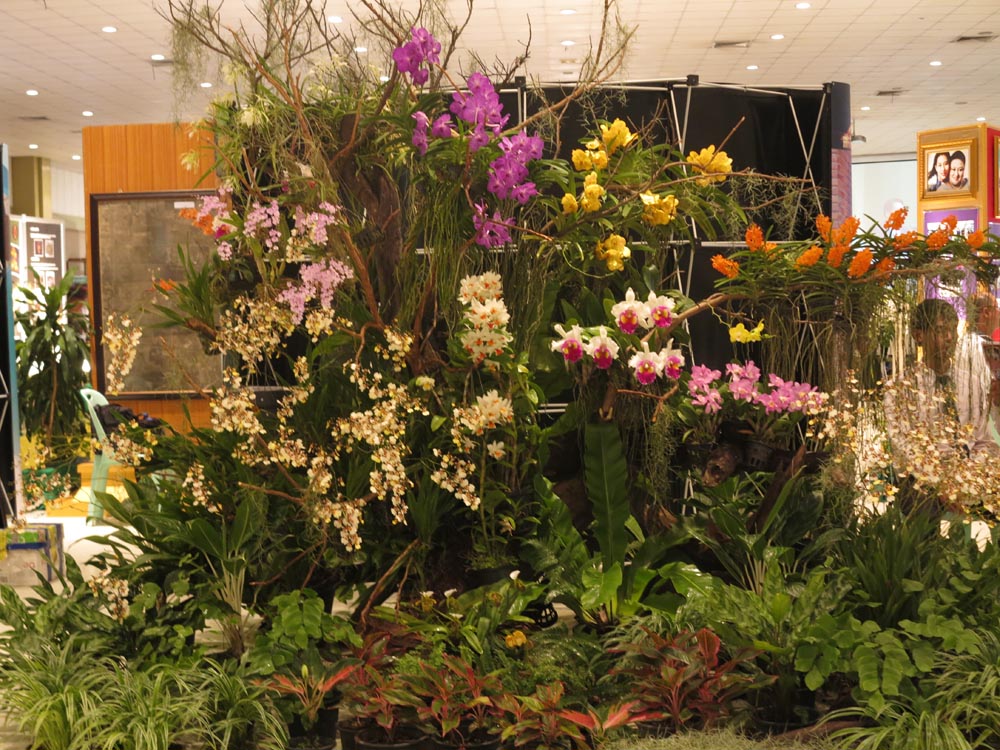 เชิญร่วมงานเกษตรกำแพงแสน ประจำปี 2556