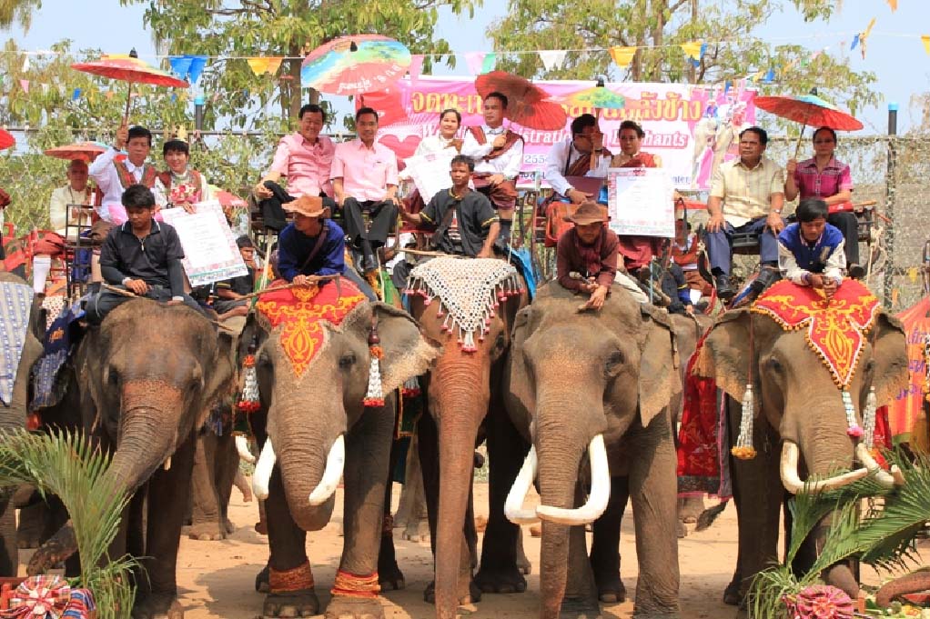 ททท. เติมสีสันเดือนแห่งความรัก “รักเธอเท่าช้าง”