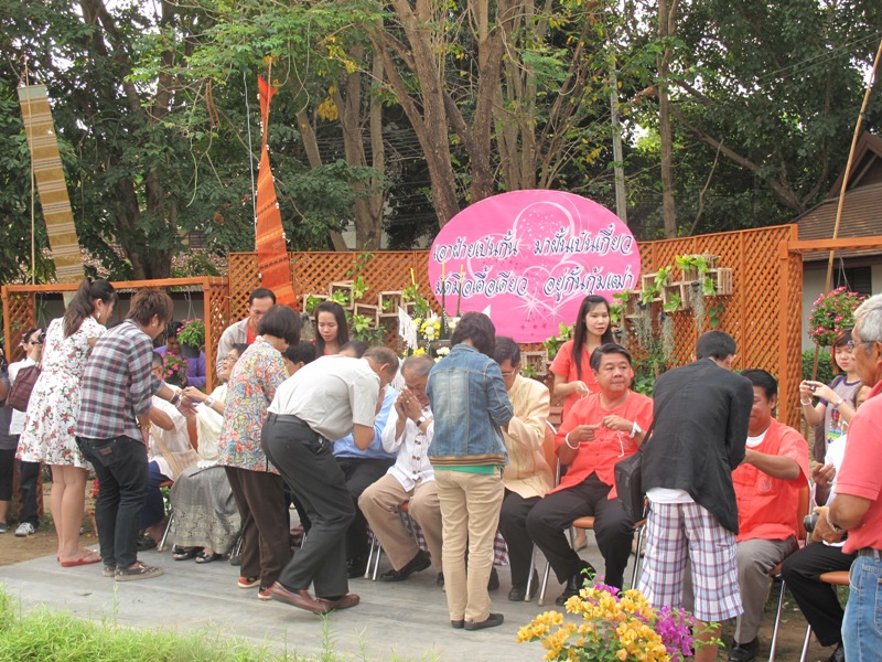 ททท. สำนักงานแพร่ เชิญสัมผัสความโรแมนติก ท่ามกลางดอกซากุระเมืองไทย   และร่วมกิจกรรมกระซิบรักที่เมืองน่าน